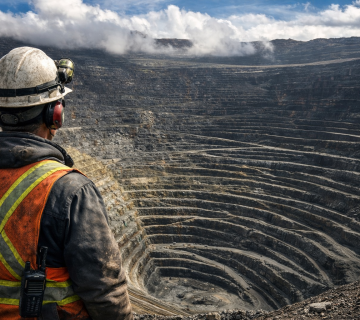 1766219135560 019b3adc ac95 7a36 bf7f 90c74e1c269a 360x320